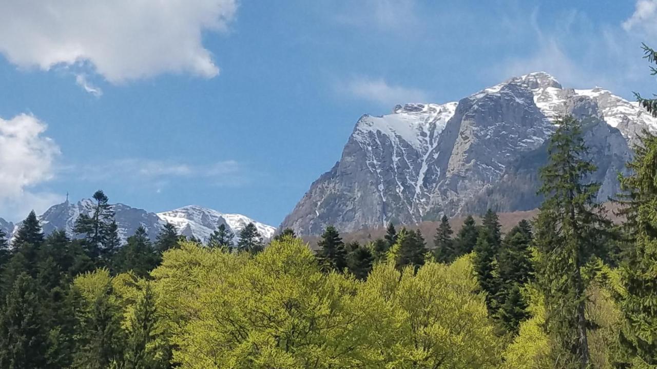 Villa Casa Tex Buşteni Esterno foto