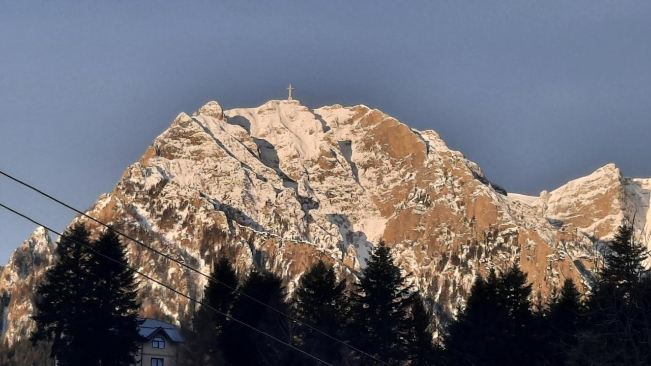 Villa Casa Tex Buşteni Esterno foto