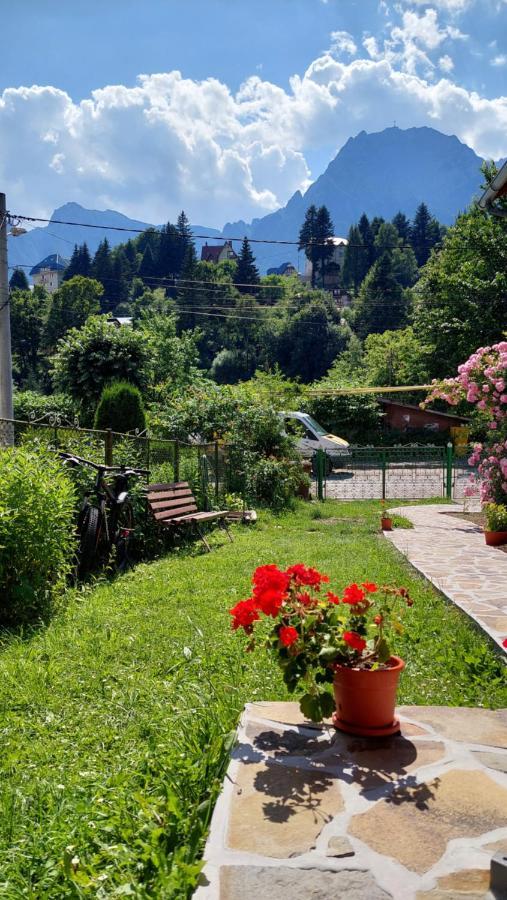 Villa Casa Tex Buşteni Esterno foto