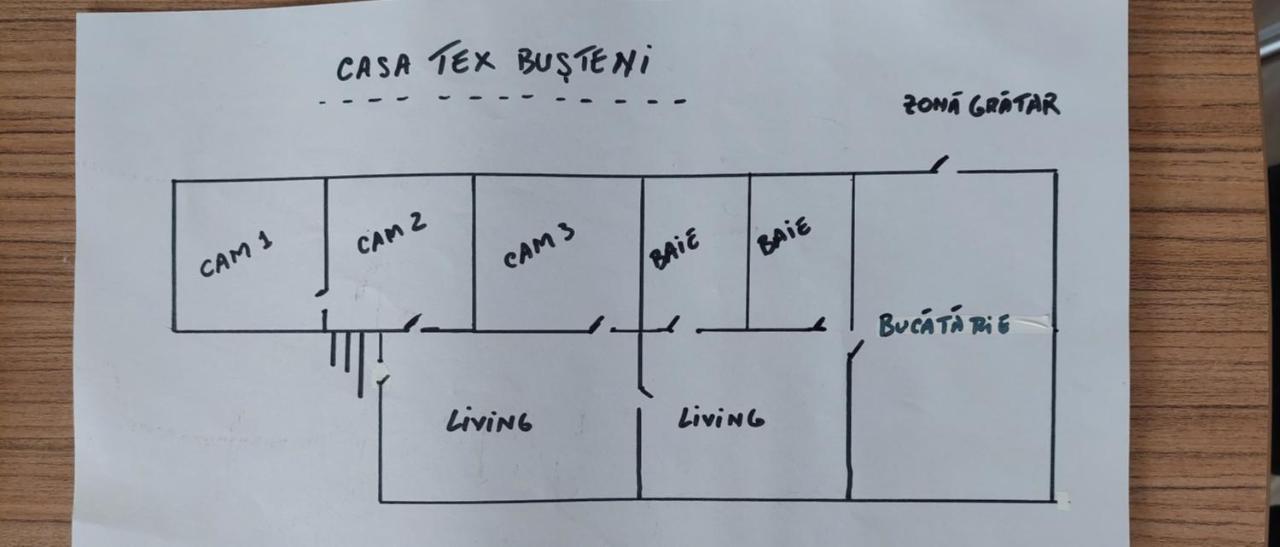 Villa Casa Tex Buşteni Esterno foto