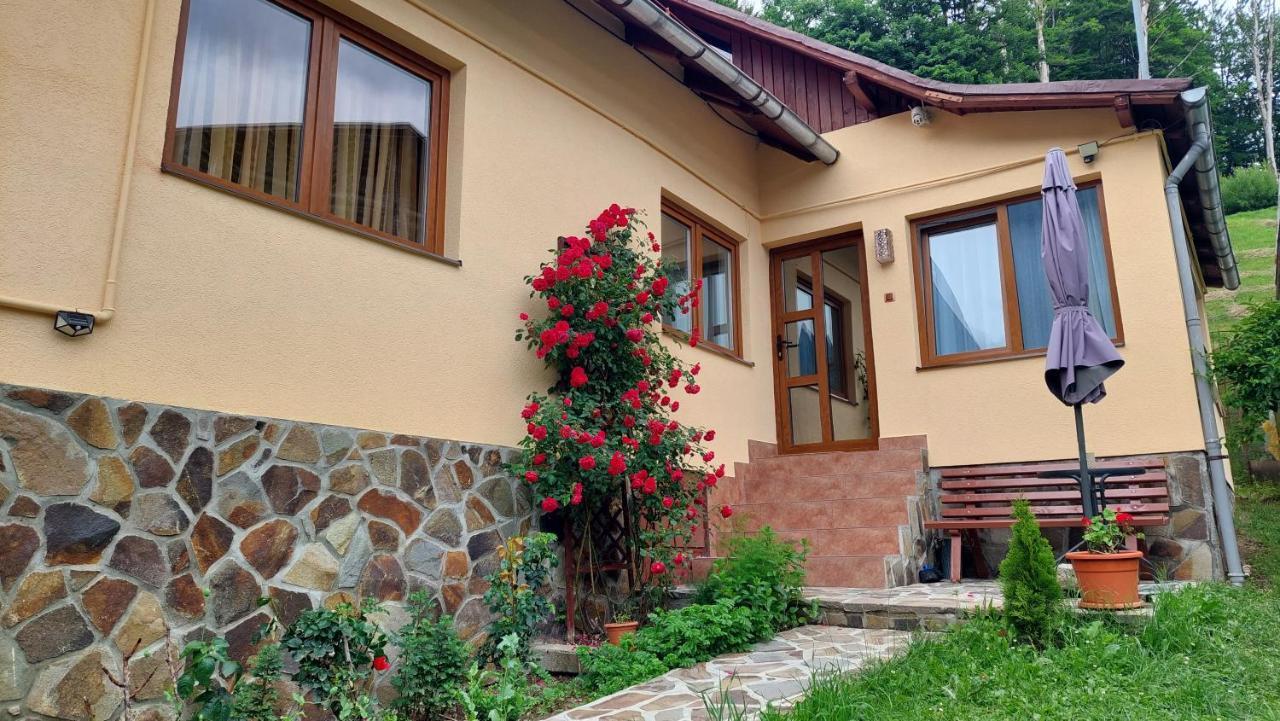 Villa Casa Tex Buşteni Esterno foto