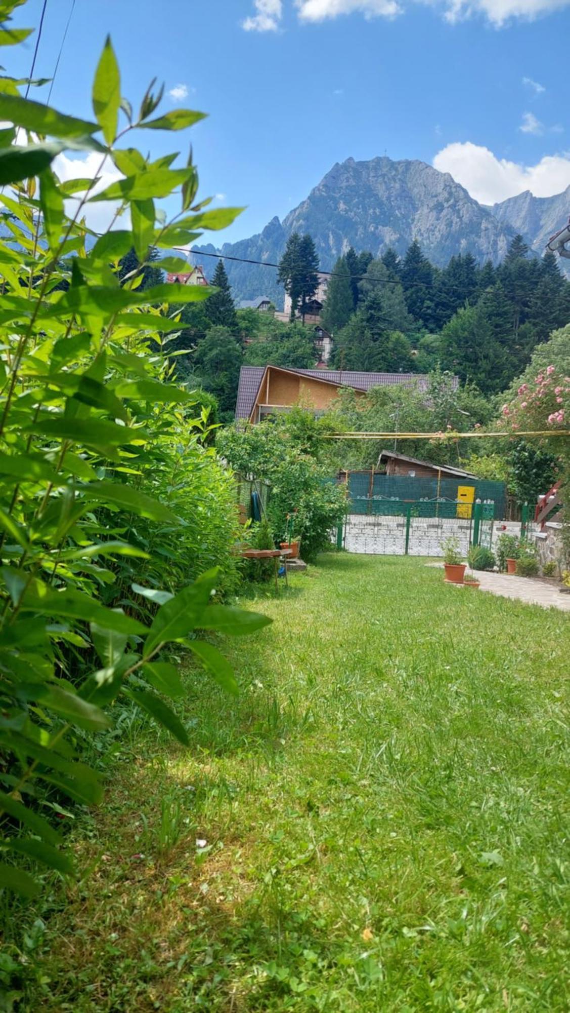 Villa Casa Tex Buşteni Esterno foto